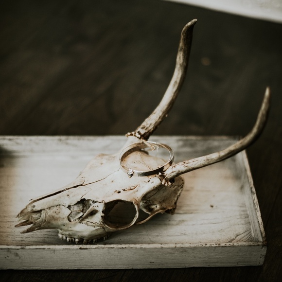 Meet your Posher, Anita Juliet - Picture 2 of 5